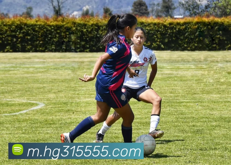 App 展示图
